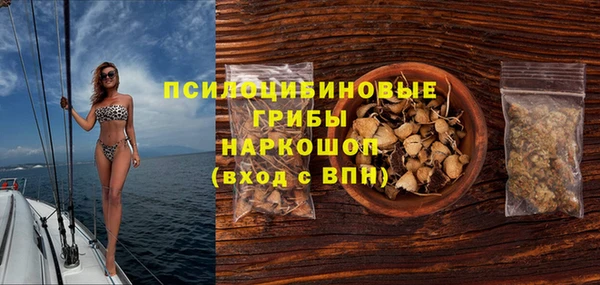 тгк Абаза