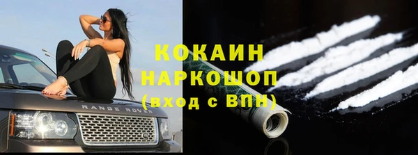 тгк Абаза