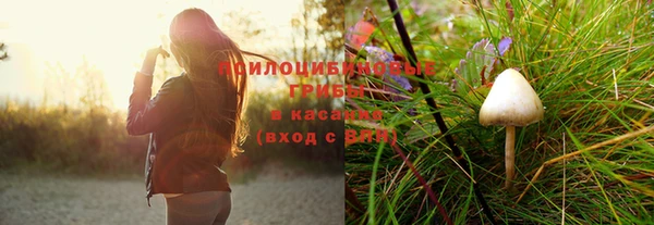 крисы Каменск-Шахтинский
