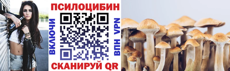 omg вход  Каменногорск  Псилоцибиновые грибы GOLDEN TEACHER 